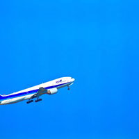 青空を飛び立つANAの飛行機の写真
