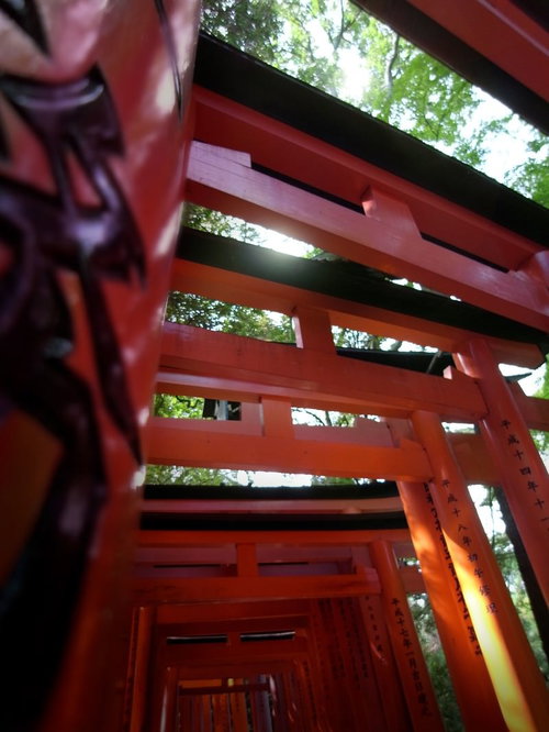 稲荷大社の朱色の鳥居が連なる参道