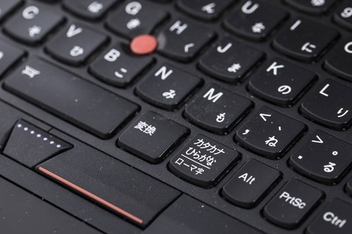 ボシ灯ろう祭りの川沿いに並ぶ灯ろう