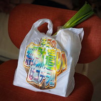 食料品が入ったエコバッグでの買い物シーンの写真