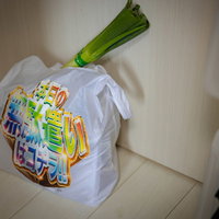 買い物した後の食料品が詰まったエコバッグの写真