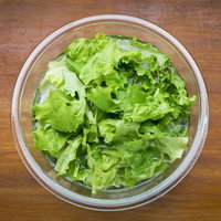 水に浸けてシャキシャキに仕上げた新鮮なレタスの野菜の写真
