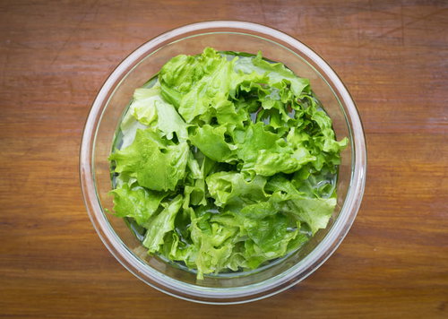 水に浸けてシャキシャキに仕上げた新鮮なレタスの野菜