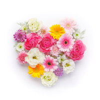 ピンクと紫のバラで作ったハート型の花束フレームの写真