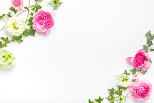 ピンクの薔薇と緑のアイビーで囲んだフレーム