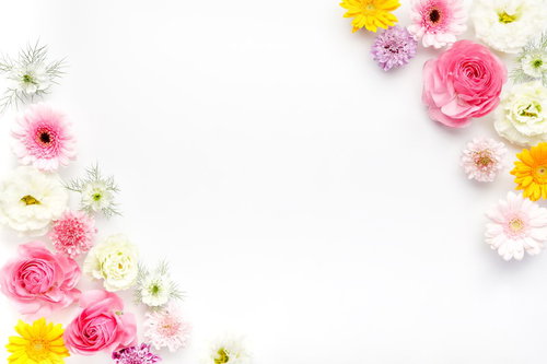 フレーム・背景に使いやすい薔薇や生花のデコレーション