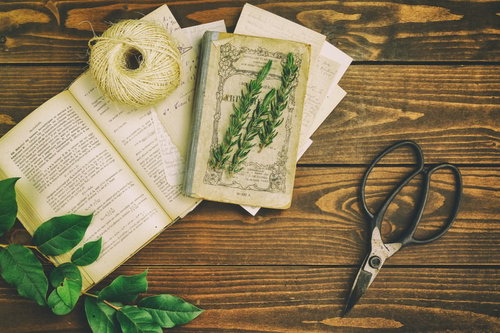 木製テーブルで広げるガーデニングと洋書の園芸用品