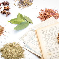 乾燥ハーブと粉末調味料に囲まれた古い洋書の写真