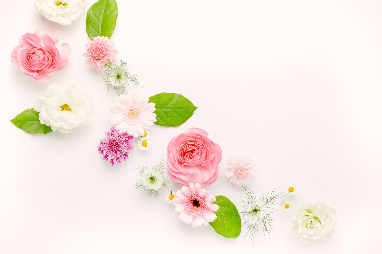 春の花のフラットレイ