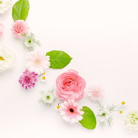 春色の花たちのフラットレイの写真