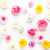 ピンクと白の薔薇でいっぱい春色フラワーテクスチャー（マット）の写真
