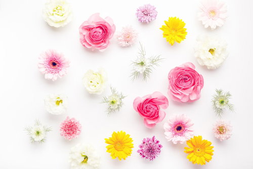 ピンクと白の薔薇でいっぱい春色フラワーテクスチャー（マット）