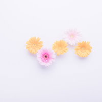 白紙の上に並べたピンク・黄色・オレンジのフラワーアレンジメントの写真