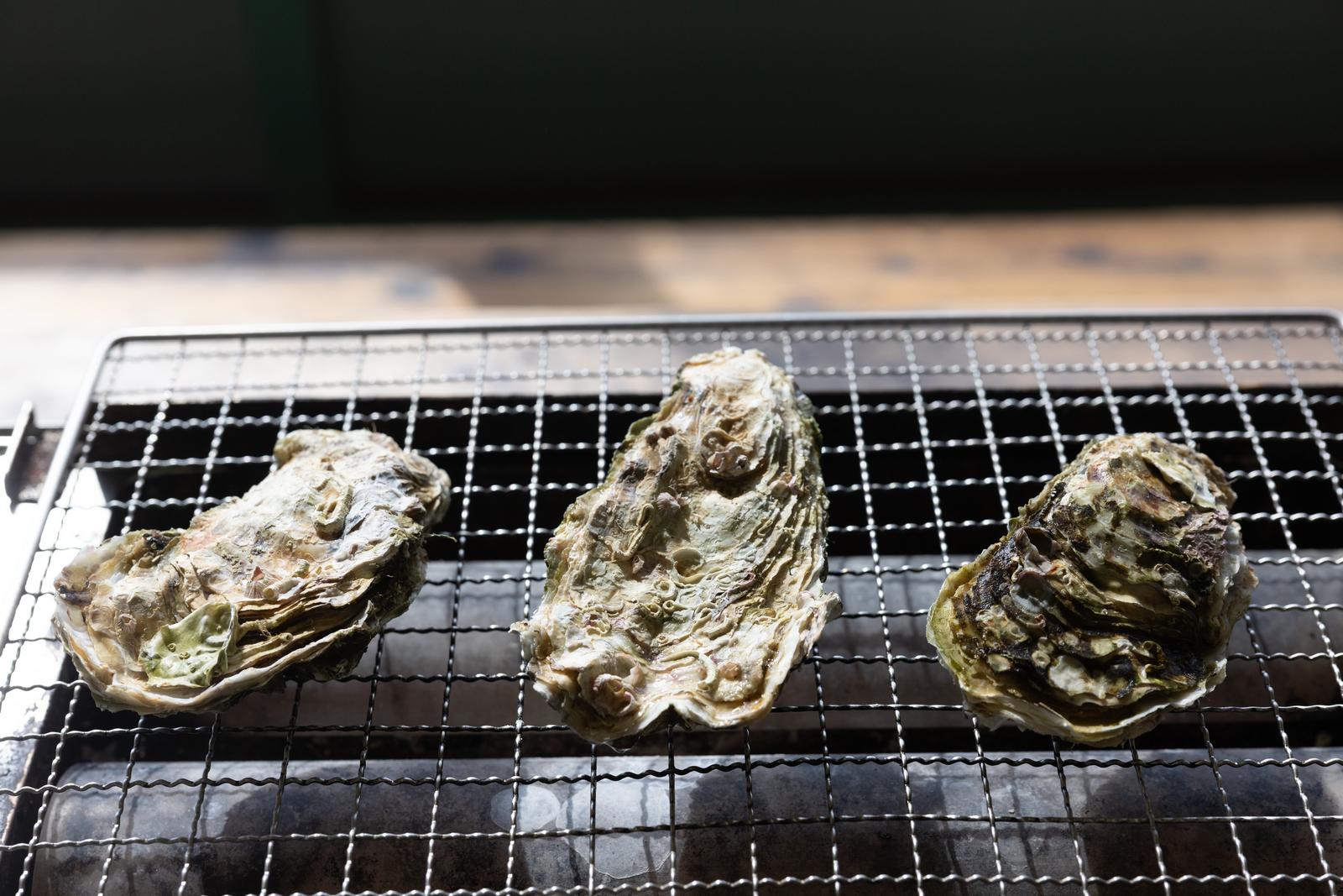 焼き網の上に並んだ3つの生牡蠣が火で加熱されている様子