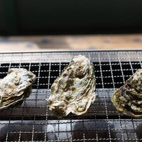 生牡蠣を焼き網の上で加熱調理、殻付き牡蠣の網焼き風景の写真