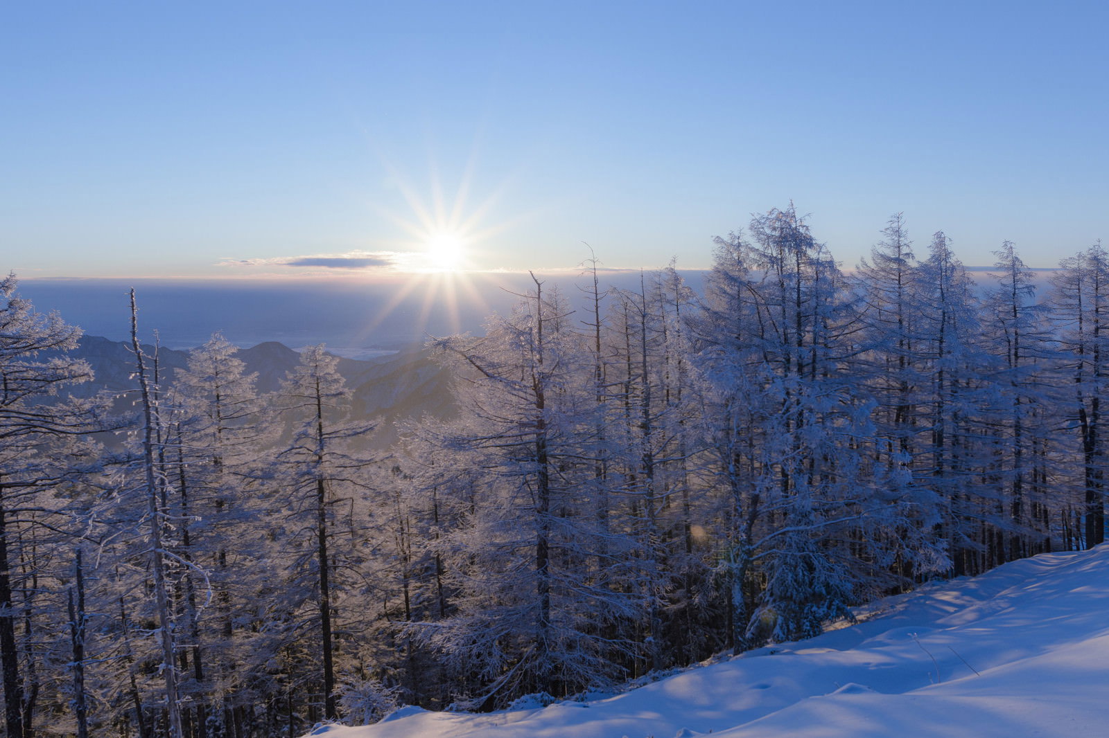 雪に覆われた雲取山で霧氷が付いた木々の間から太陽の光芒が差し込む冬山の風景