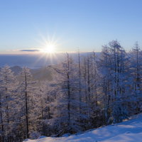 光芒と霧氷に包まれた雲取山の冬景色 日本百名山の雪山風景の写真