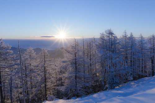 光芒と霧氷に包まれた雲取山の冬景色 日本百名山の雪山風景