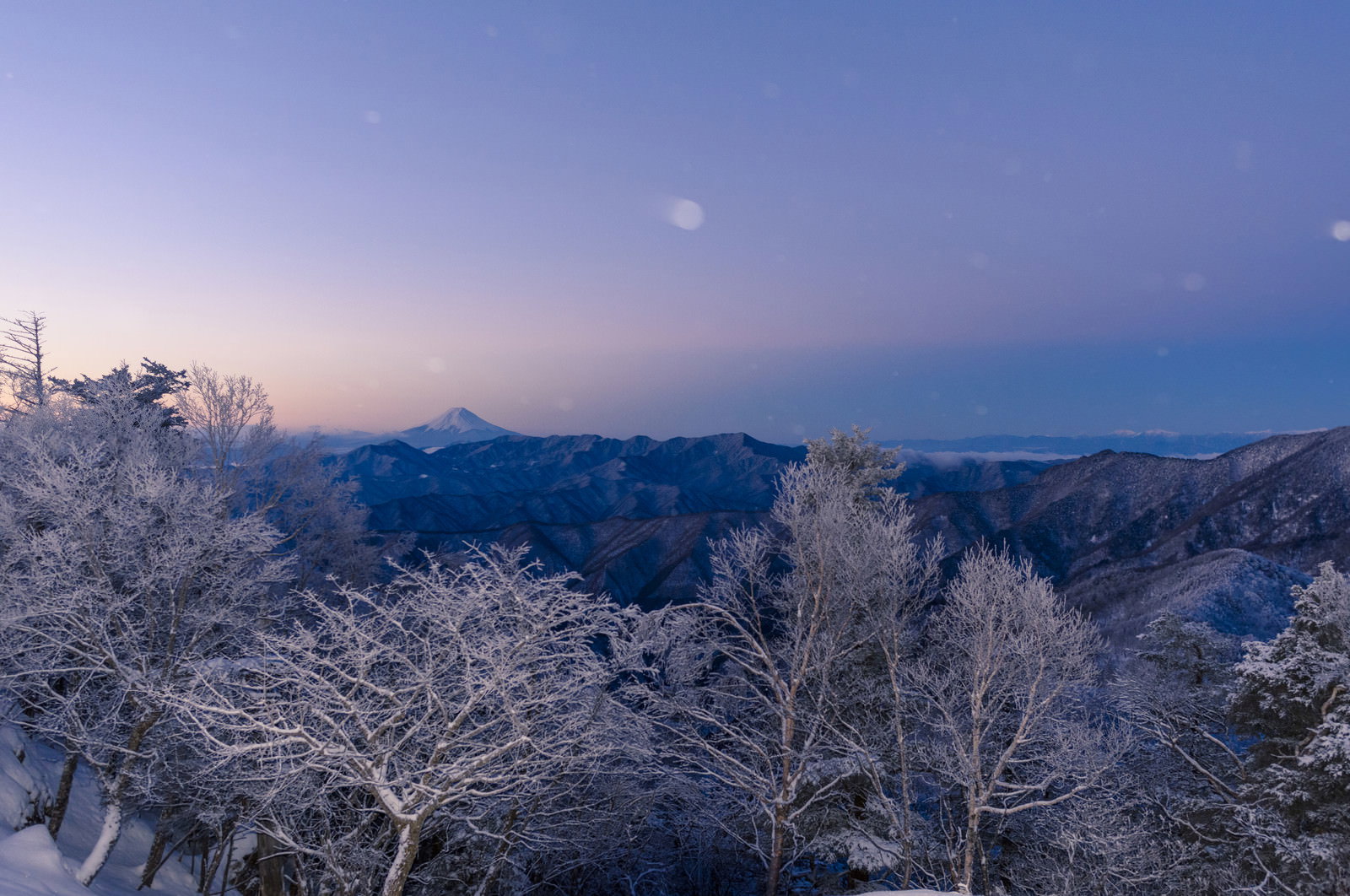夜明けの空に浮かぶ富士山のシルエットと雪に覆われた樹木