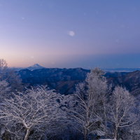 夜明けの富士山を雲取山山頂から見る雪景色の写真