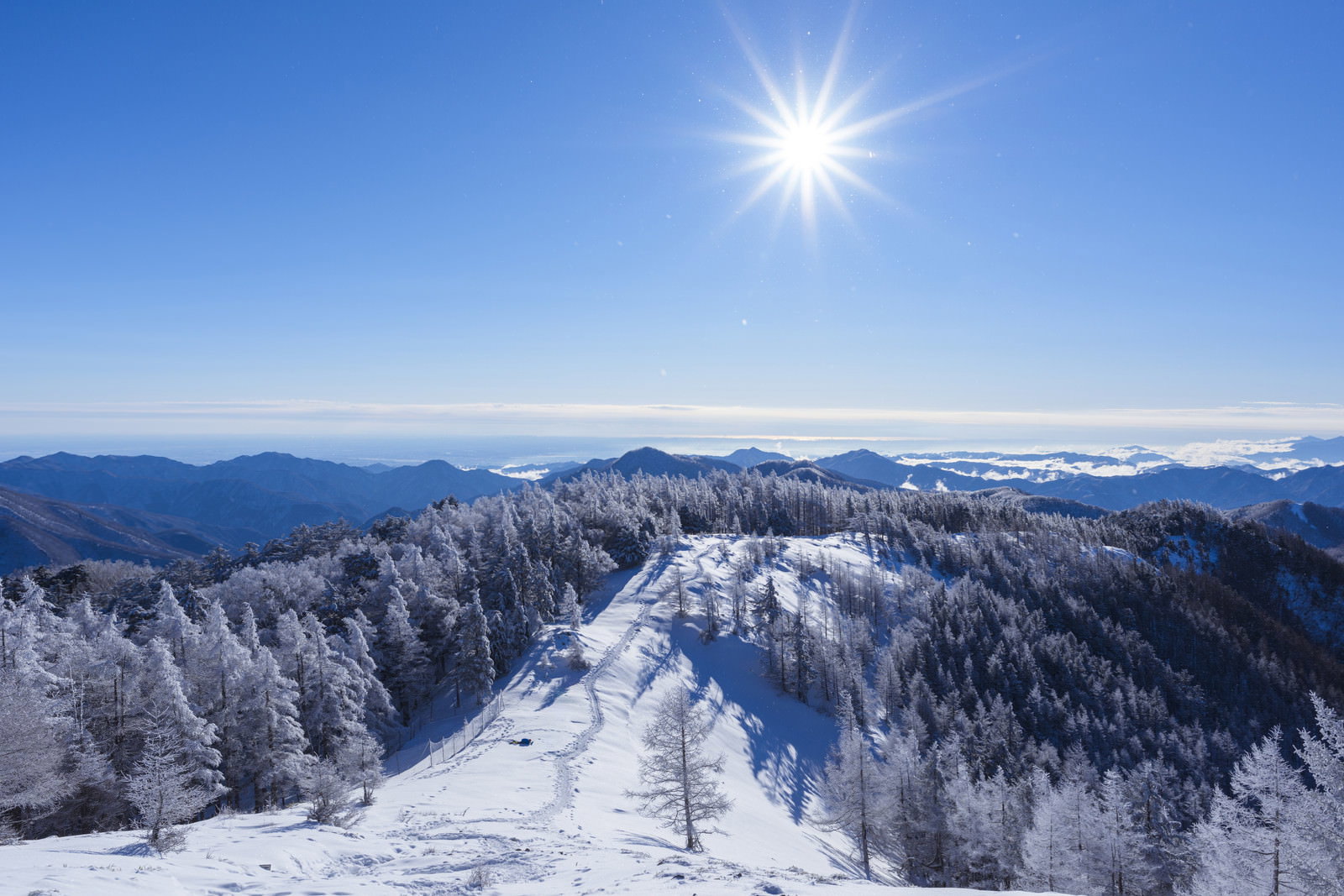 青空と太陽に照らされた雲取山の雪化粧した稜線と樹氷の風景