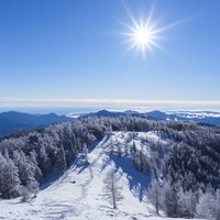 太陽に照らされる雲取山の雪化粧した稜線と樹氷の絶景の写真