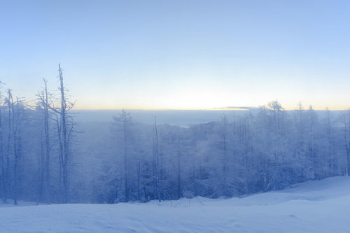 雲取山山頂の霧氷と雪景色