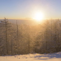 朝日が照らす雲取山山頂の雪景色の写真