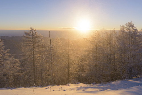 朝日が照らす雲取山山頂の雪景色