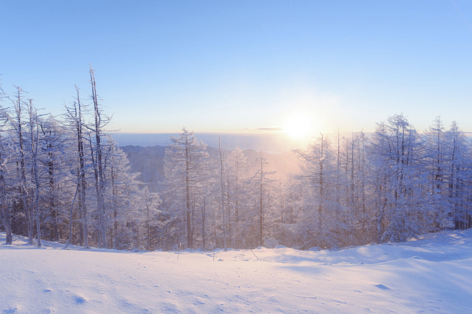 雪に覆われた雲取山山頂に朝焼けの暖かな日差しが差し込む冬の風景