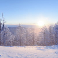暖かな朝焼けの日差しに包まれる雲取山山頂の写真
