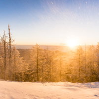 黄金色の朝日と雪景色に包まれた雲取山の冬景色の写真