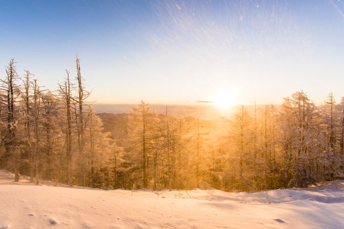 黄金色の朝日と雪景色に包まれた雲取山の冬景色