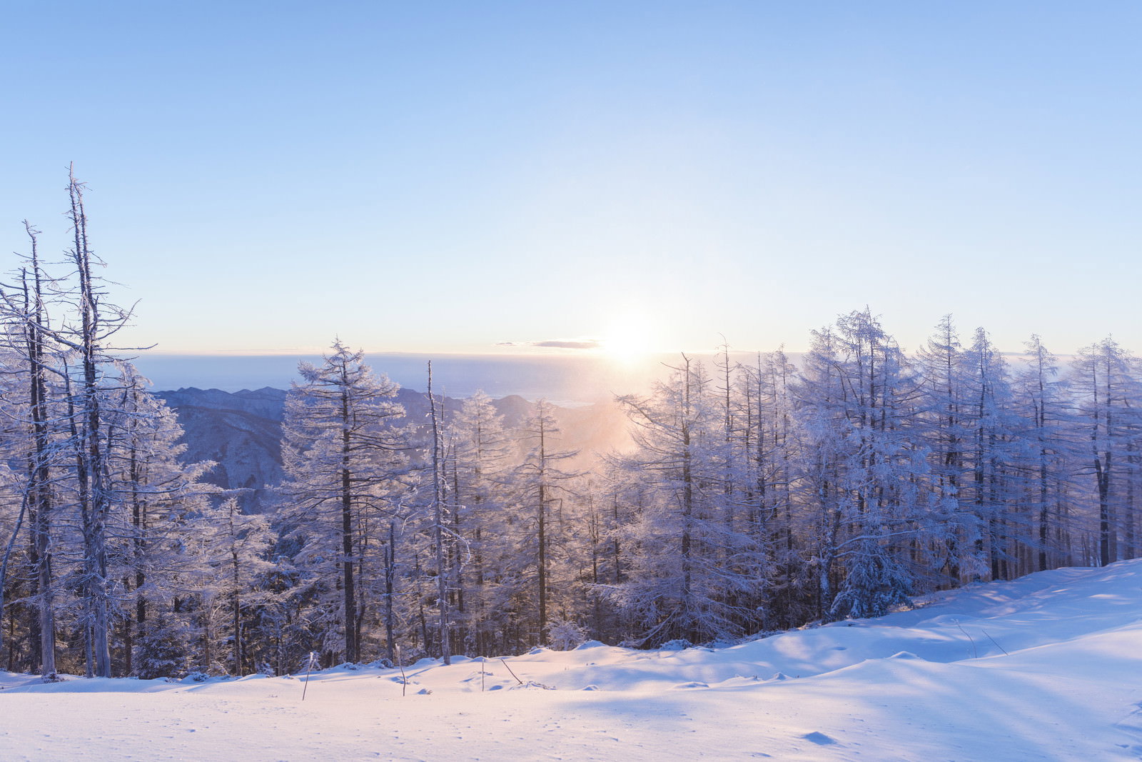 朝日に照らされた雪山の霧氷と雪景色（雲取山の冬景色）