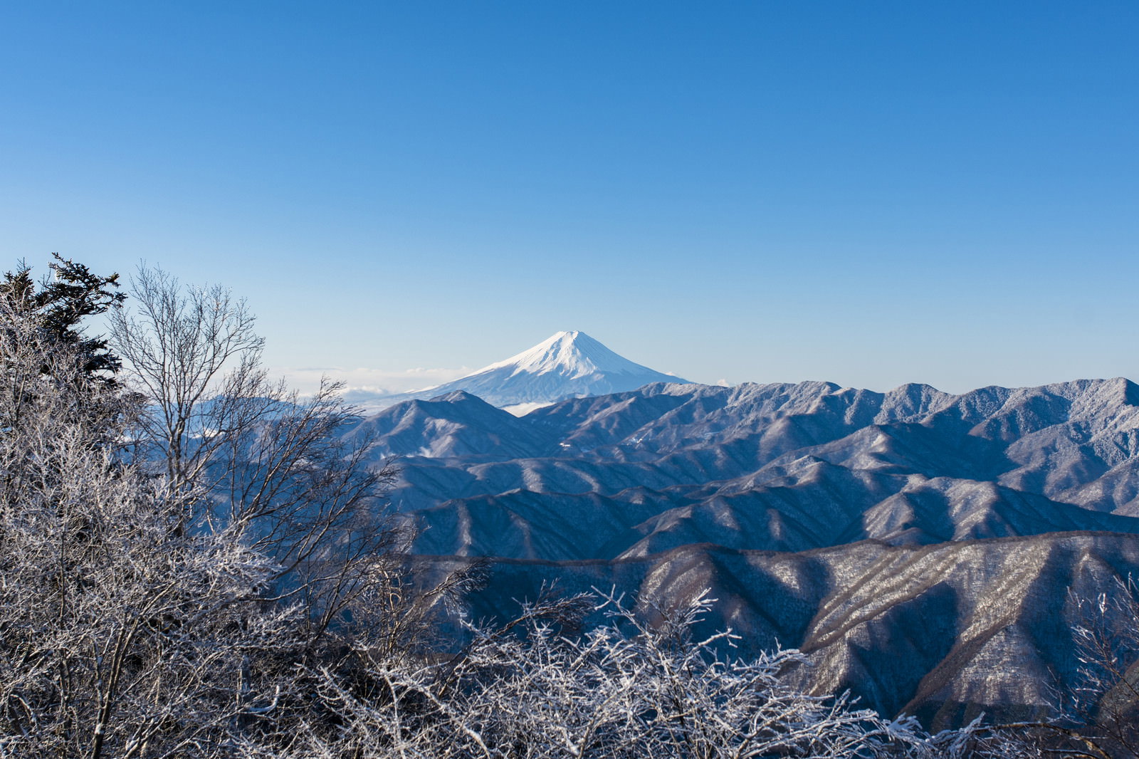 雲取山から眺める朝日に照らされた雪化粧の富士山と青空