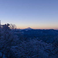 朝日を待つ富士山（雲取山）の写真