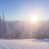 激しい雪煙と陽光が舞う雲取山の雪山の冬景色の写真