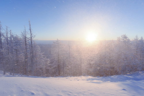 激しい雪煙と陽光が舞う雲取山の雪山の冬景色
