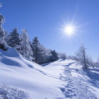 燦燦と光が差す雲取山の登山道、冬の雪山風景の写真