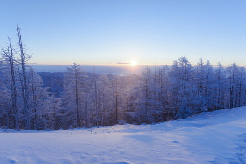 登りゆく朝日と雲取山の霧氷に輝く雪山の冬景色