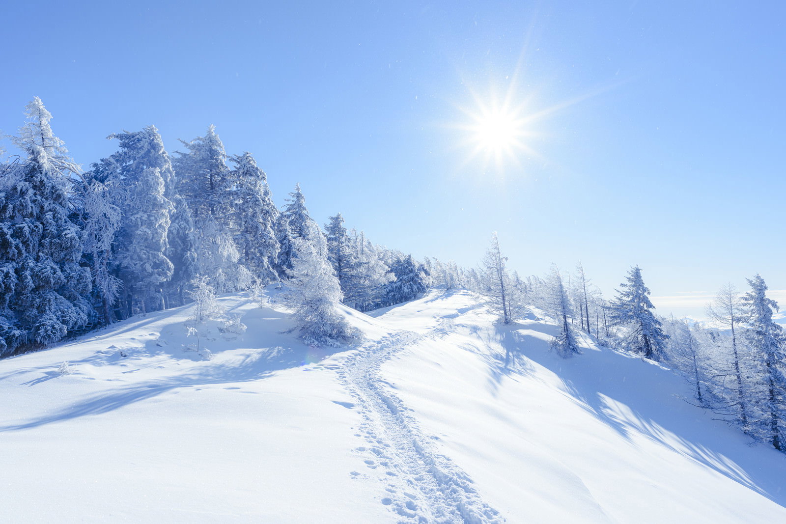 深い雪に覆われた雲取山の登山道と青空、太陽の光が差し込む冬景色