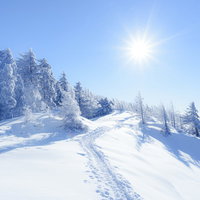 雪に包まれた雲取山登山道と青空の写真