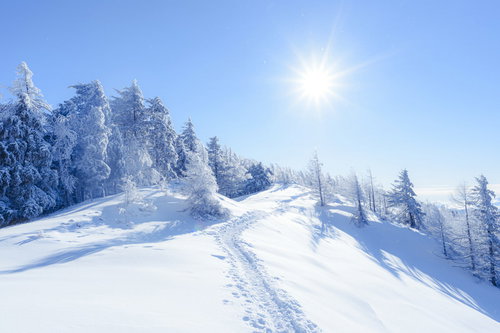 雪に包まれた雲取山登山道と青空