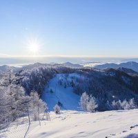 樹氷と雪に包まれた雲取山の朝の稜線の写真