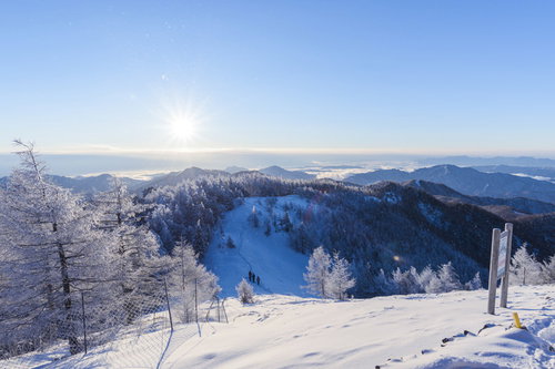 樹氷と雪に包まれた雲取山の朝の稜線