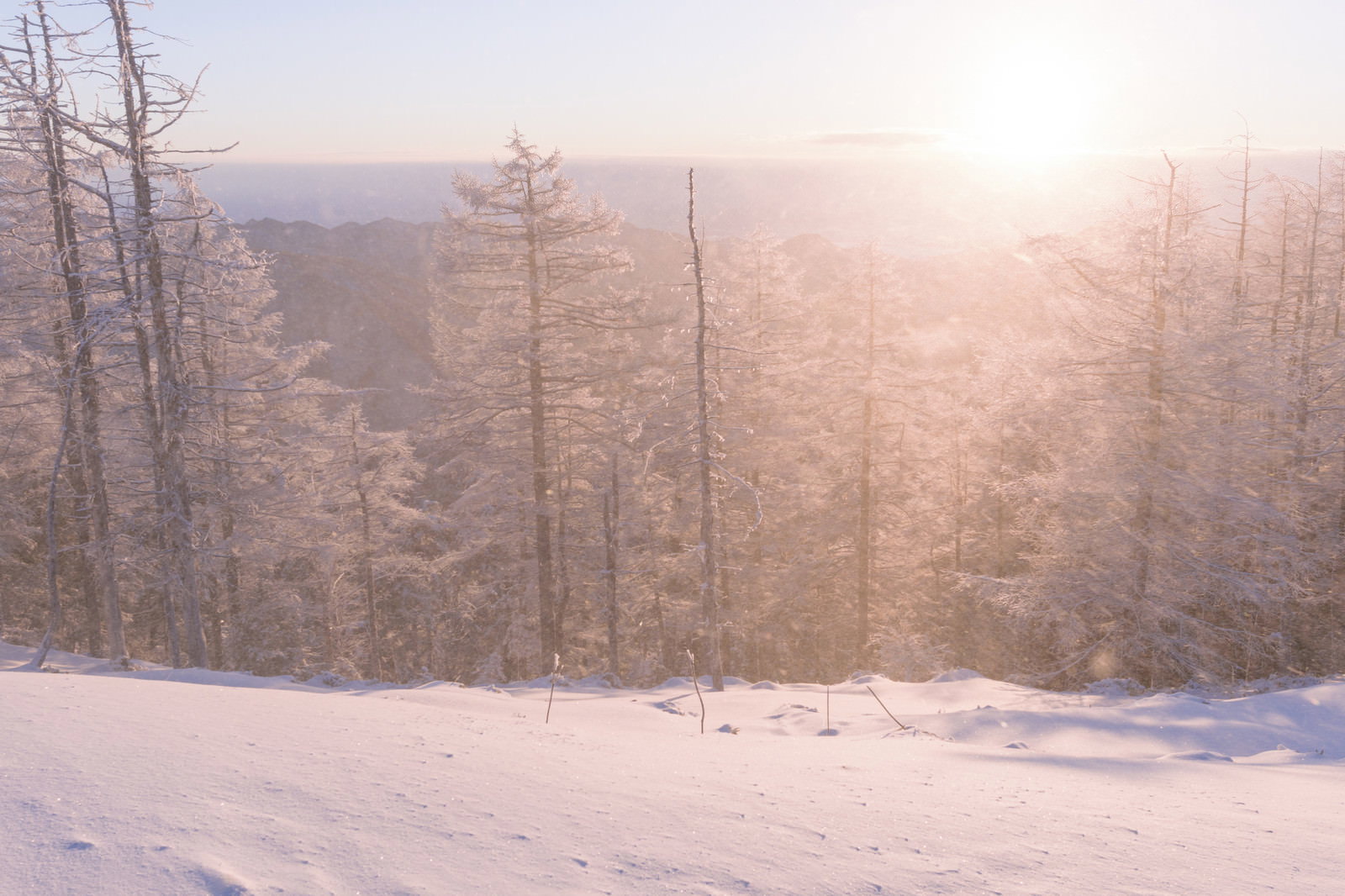 朝日の逆光で雪煙が舞い上がる冬の雲取山の風景