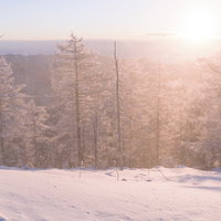 朝日の逆光に輝く雪煙に包まれる雲取山の冬山風景の写真