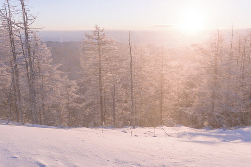 朝日の逆光に輝く雪煙に包まれる雲取山の冬山風景