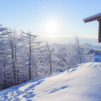雲取山の避難小屋と霧氷に覆われた冬の風景の写真