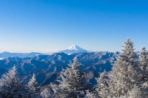雲取山から見える霧氷と雪化粧の富士山